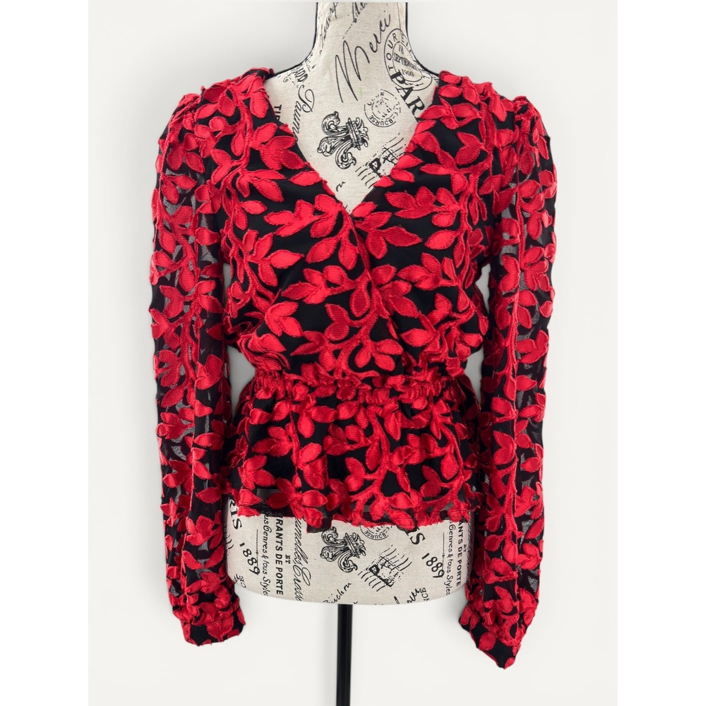 g.p.d. Anthropologie Floral Embroidered Mesh S Peplum Faux Wrap Top Evening Vamp